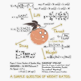 A Simple question of Weight ratios Art Design Happy Apparel Essential Inspiration Joy Mood Bumper Sticker Window Water Bottle Decal 5"