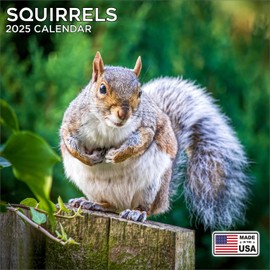 2026 Squirrels Calendar - Dog Breed Wall Calendar - 12 x 24 Open - Thick No-Bleed Paper - 14 Month Planner Calendar Organizing & Planning
