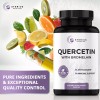 Quercetin with Bromelain 1000mg per Serving, 120 Vegetarian Capsules