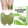 50 Piezas Pain Relief Patch for Knee,pegatinas de Artemisa Natural