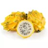 Unbranded Sprouted Yellow Dragon Fruit Sweet Tropical Live Plant Dragon