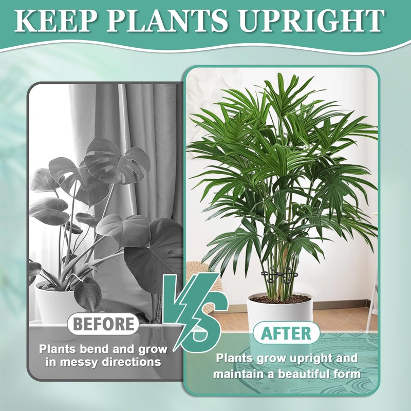 8pcs Plant Stem Support, Plant Support for Indoor Plants, Plastic