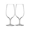 Waterford Elegance Water Glass, Pair