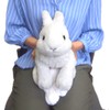 Knee Rabbit Plush, White, S P-3782