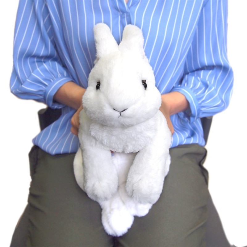 Knee Rabbit Plush, White, S P-3782