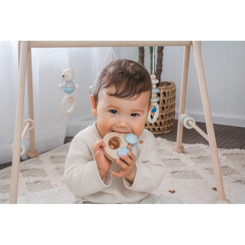 Hess 11111 Griffon Rattle Duck, Nature Pink