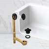 Westbrass D321-20G-62 14" Brass Bath Waste & Overflow Assembly with