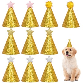 Yoolhamy Birthday Hat for Dogs, 10 Pieces Mini Party Hats for Stuffed Animals, Colorful Glitter Puppy and Cat Hat with Adjustable Strap for Small Animals and Plush Teddies (11.5 x 7.5 cm) (for Puppies