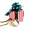 Polar Express Sleigh Bell Gift Set