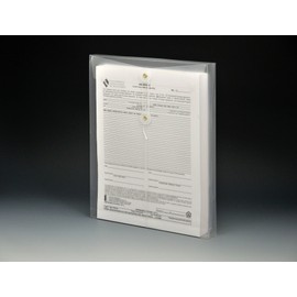 Lion String-A-Long Clear Poly Envelopes with Gusset, Letter, Top Load, 6 EA/Pack, 1-Pack (32000-CR)