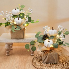 Janinka 2 Set 11 Inch Fall Decorations for Home White Pumpkins Eucalyptus Tables Centerpieces Artificial Pine Cones Berry Stem Picks Decor with 20 LED Lights for Autumn Thanksgiving Decorations