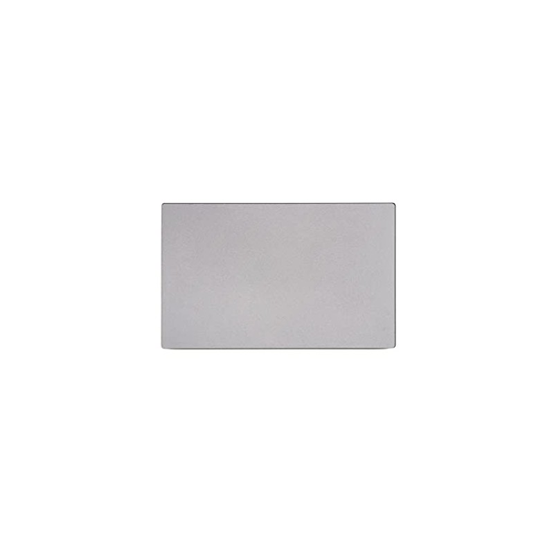 ICTION New Trackpad Touchpad Without Cable Space Grey Replacement for