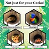 SunGrow Leopard Gecko Coconut Husk Hut with Ladder, with Shell