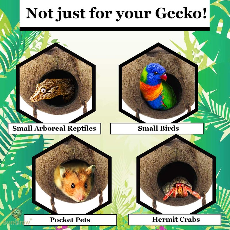 SunGrow Leopard Gecko Coconut Husk Hut with Ladder, with Shell