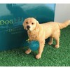 LEONARDO Golden Retriever figurine decoration, realistic ornament from the Dog