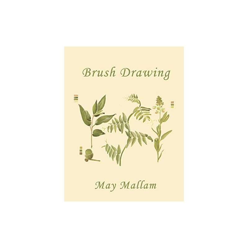 Brush Drawing as Applied to Natural Forms and Common Objects