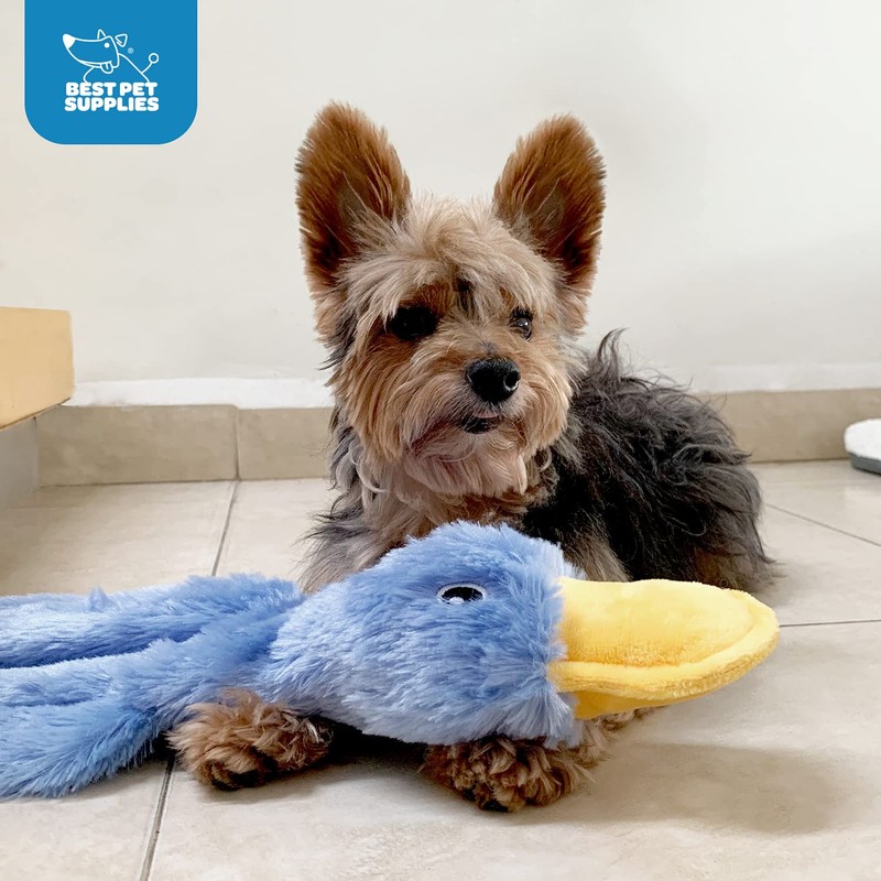 Best Pet Supplies Interactive Squeaky Dog Chew Toy, Ideal Dog