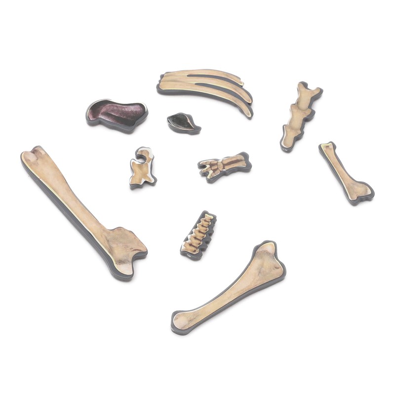 Toyland® Dinosaur Operation With Buzzer & Shaking Board - Family