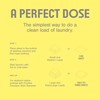 Proofed! Laundry Detergent Sheets, 32 Count, Sport Scent, The Only