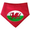 Spoilt Rotten Pets Rugby Ball Shaped Flag Design Wales Italy