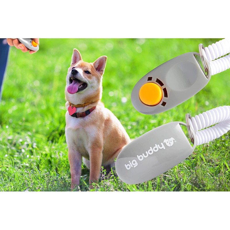 big buddy - Professional Behaviour Training Aid Clicker with Elasticated