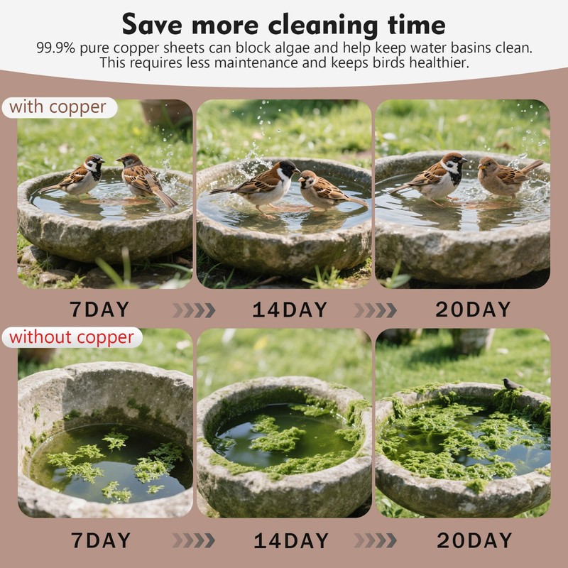 Joyfulmap Copper Bird Bath Purification Disk, 99.99% Pure Copper Cleaning