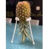 Kitchen Companion Pineapple ripening stand! (Black)