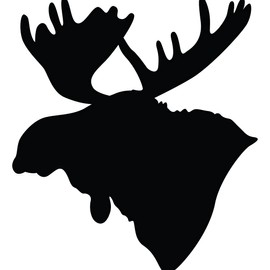 NBFU Moose Head Explore Adventure Wildlife 1 (Black) (Set Of 2) Premium Waterproof Vinyl Decal Stickers For Laptop Phone Accessory Helmet Car Window Bumper Mug Tuber Cup Door Wall Decoration