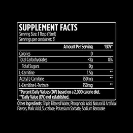 VMI Sports L-Carnitine 3000 Liquid | 3000 mg Carnitine Supplement | Zero Calorie Zero Sugar Keto Friendly for Men and Women C Great Tasting| 31 Servings (Gummy Bear, 16 fl. oz.)