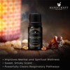 Handcraft Blends Frankincense Essential Oil - 0.33 Fl Oz -