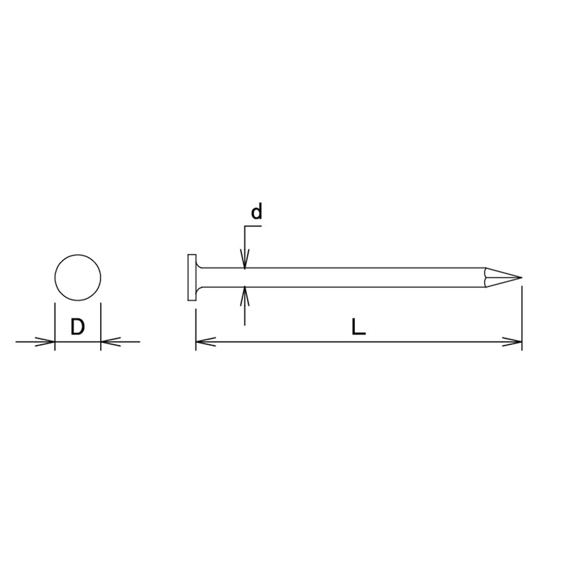 Daidohant Stainless Steel Nails, Flat 0.1 x 3.9 inches (4.0