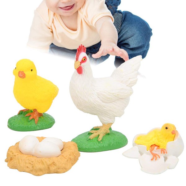 Zerodis Highly Simulation Animal Life Cycle 4 Part Animal Learning Model Educational Toys for Toddlers(Chick Life Cycle)