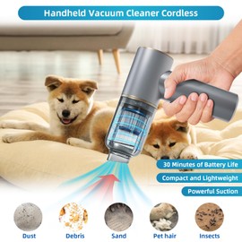 Paddsun Handheld Vacuum Cleaner Bug Catcher for Insect Rechargeable Cordless Handheld Vacuum Cleaners with Strong Suction and Air Blower for Home, Car, and Travel