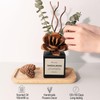 Aeeteek Reed Diffuser Set, Sandalwood & Cedarwood Scented Oil with