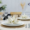Fanxyware Star Shaped Origami Dinner Napkins with Gold Stars on