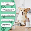 D&J Dog Feeding Reminder, Fridge Magnet with AM/PM Indication Chart