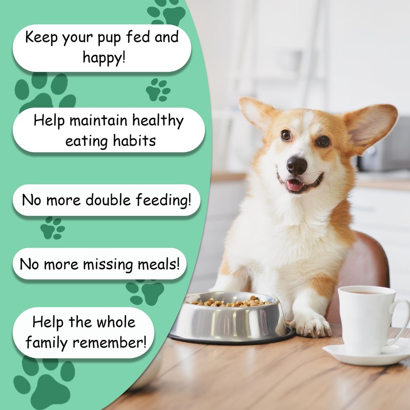 D&J Dog Feeding Reminder, Fridge Magnet with AM/PM Indication Chart