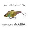 VIBRATION-X SMATRA (RATTLE IN) FA PEACOCK