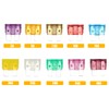 Adunsiaoto Standard Car Fuses, Car Fuse Set, Standard Blade Fuses,