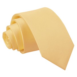 DQT Plain Glossy Satin Polyester Wedding Neck Tie for Boys 7-12 Years Old in Pale Yellow