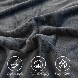 PAJEO Fleece Bed Blankets Throw Size - Soft Lightweight Plush Fuzzy Cozy Luxury Blanket Microfiber Throw for Couch Bed,All-Season Breathable,40x60 Inches