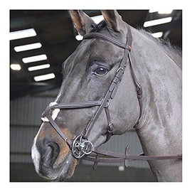 JW RTR MEXICAN BRIDLE