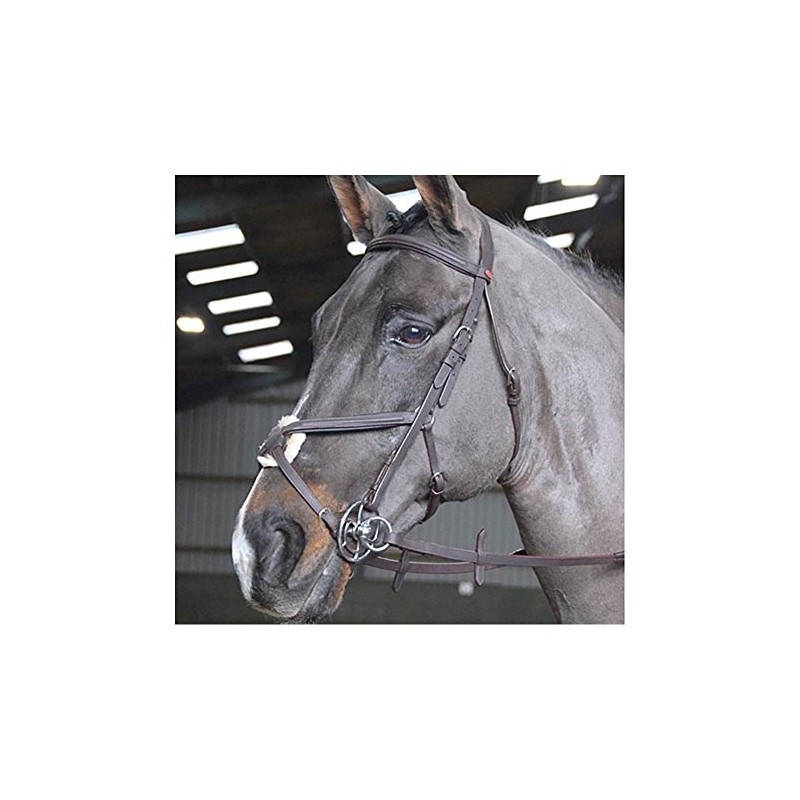 JW RTR MEXICAN BRIDLE