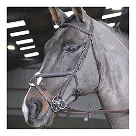 JW RTR MEXICAN BRIDLE