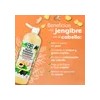 Shampoo Baño Botanico Extracto De Jengibre (crecimiento)1 Lt