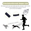 Mi Metty Dog Lead, 8 ft Bungee Dog Lead with