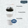 Organic Positively Tea Company, Blackberry Black Tea, K-Cup Compatible, 24