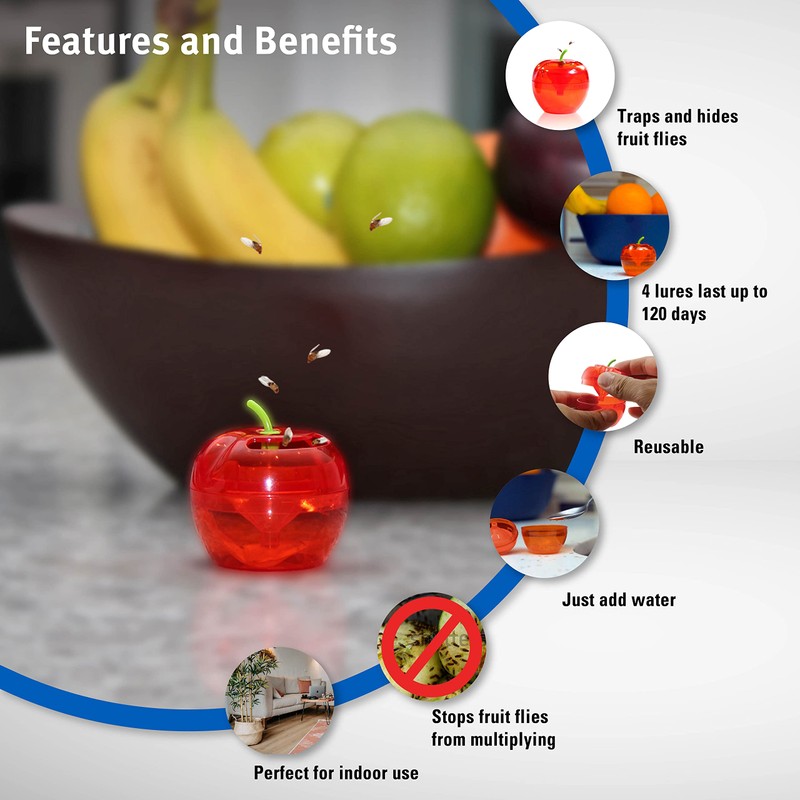 Raid Fruit Fly Trap – Indoor Insect Catcher with 120-Day