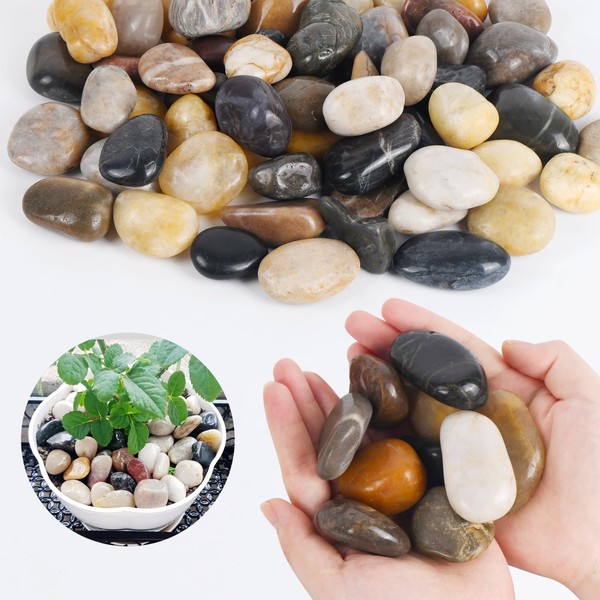 Simetufy 5lb River Rocks for Plants, 1-2 Inches Pebbles, Decorative Rocks, Polished Garden Outdoor Gravel, Pebbles for Plants, Vases, Succulents, Fish Tank, Home Decor, Arts, Crafting Stones