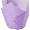 Scrumptious Sprinkles Tulip Muffin Wraps, Paper, 50x50x80mm